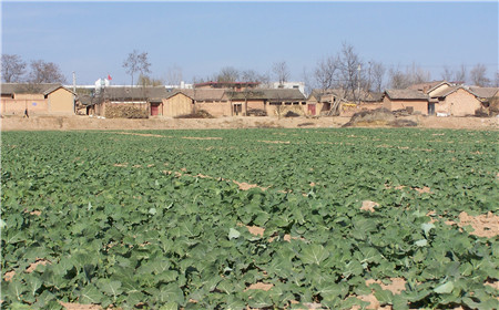 云顶集团(中国区)官方网站