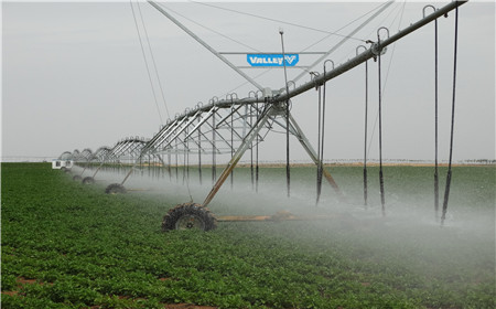 云顶集团(中国区)官方网站