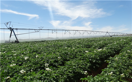 云顶集团(中国区)官方网站