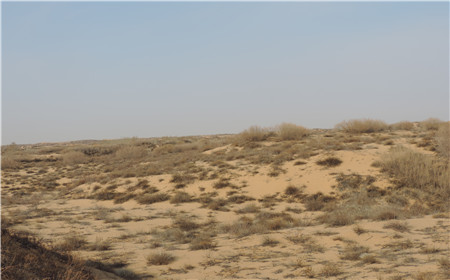 云顶集团(中国区)官方网站