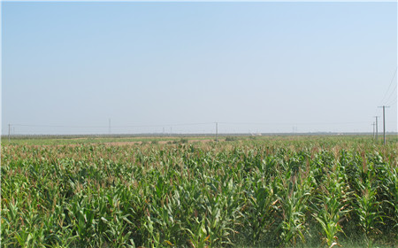 云顶集团(中国区)官方网站