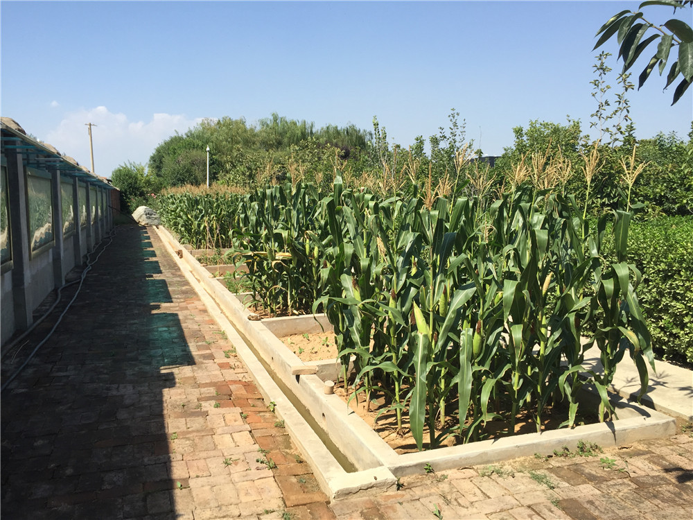 云顶集团(中国区)官方网站