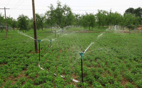 云顶集团(中国区)官方网站