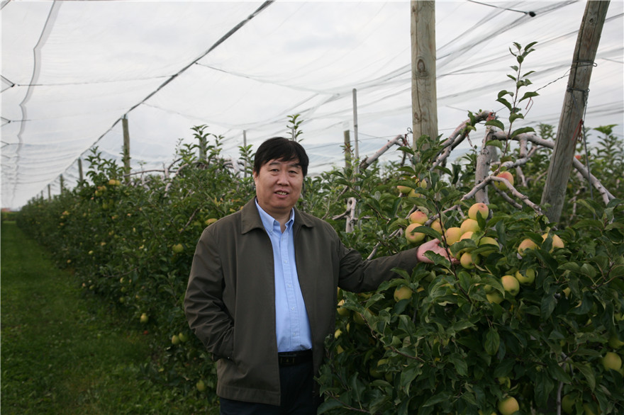 云顶集团(中国区)官方网站