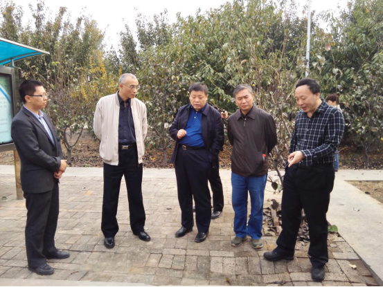 云顶集团(中国区)官方网站