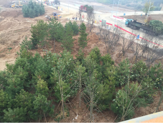 云顶集团(中国区)官方网站