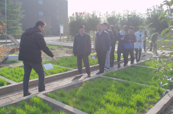 云顶集团(中国区)官方网站