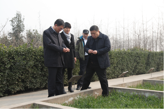 云顶集团(中国区)官方网站