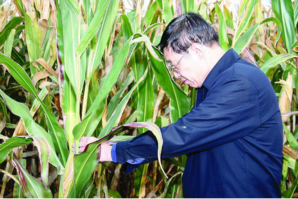 云顶集团(中国区)官方网站