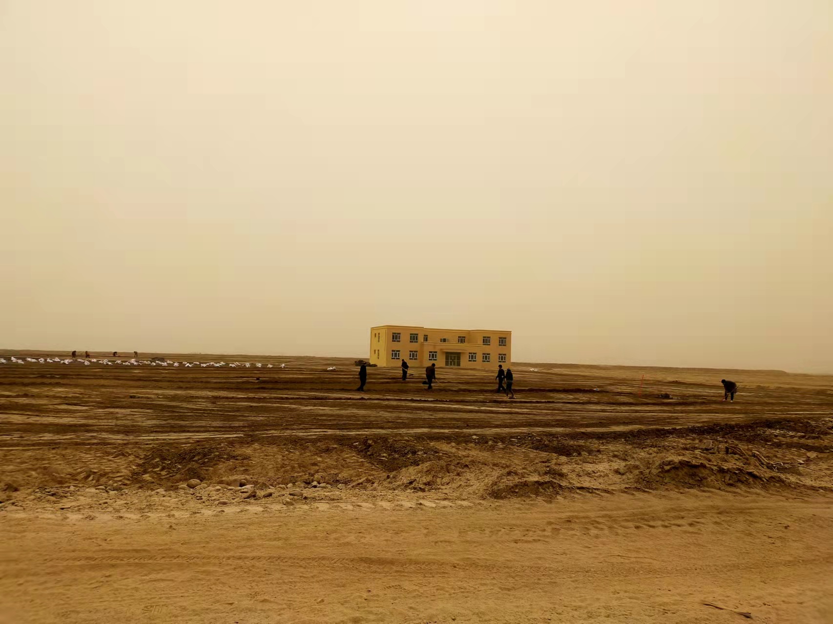 6.新疆阿克陶盐碱地研究站（将图中人P掉，，，，，，天气p好一点）.jpg