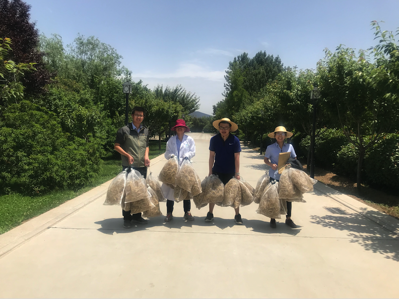 云顶集团(中国区)官方网站