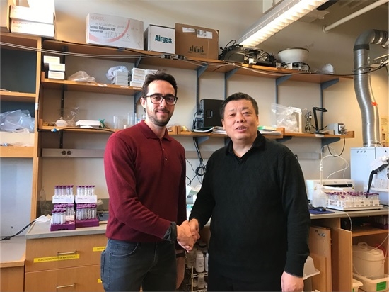 云顶集团(中国区)官方网站