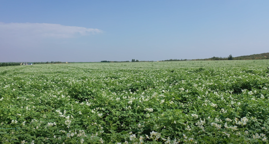 云顶集团(中国区)官方网站