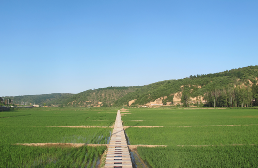 云顶集团(中国区)官方网站