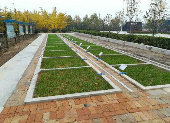 云顶集团(中国区)官方网站