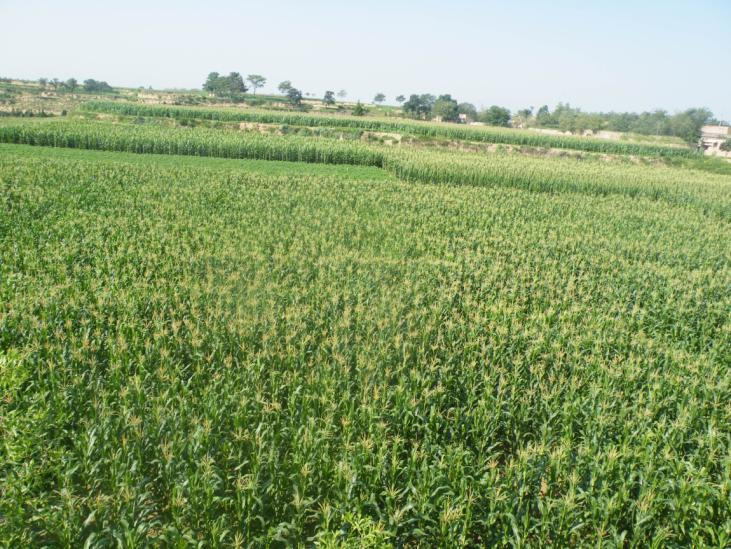 云顶集团(中国区)官方网站