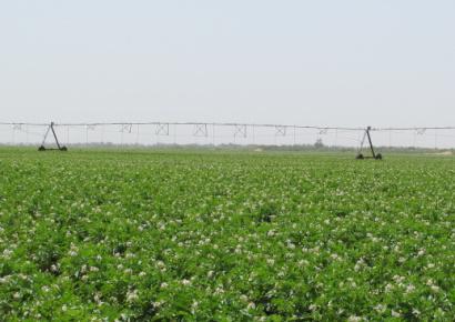 云顶集团(中国区)官方网站