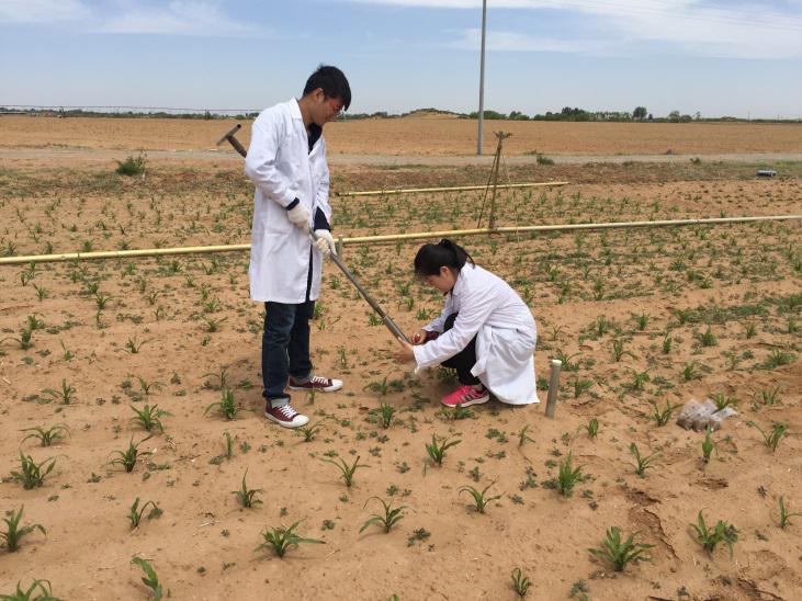 云顶集团(中国区)官方网站