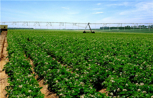 云顶集团(中国区)官方网站