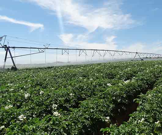 云顶集团(中国区)官方网站