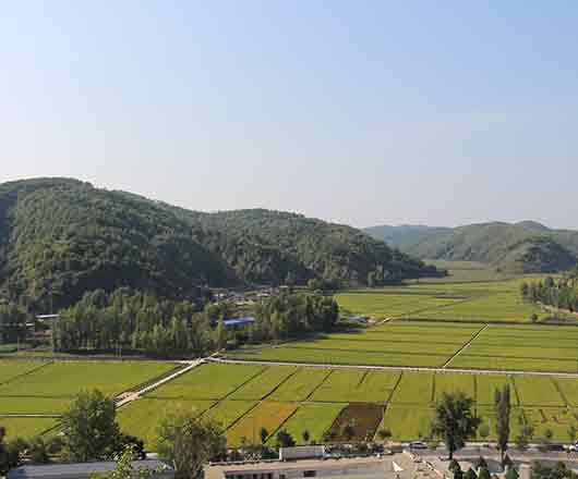 云顶集团(中国区)官方网站