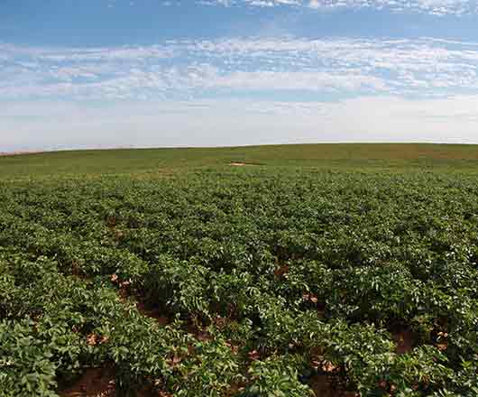 云顶集团(中国区)官方网站