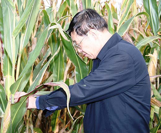 云顶集团(中国区)官方网站