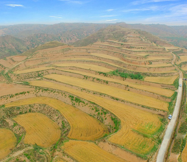 云顶集团(中国区)官方网站