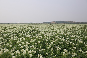 云顶集团(中国区)官方网站